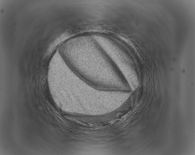 X0000087361359200705181141