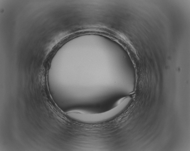 X0000087361360200705181141