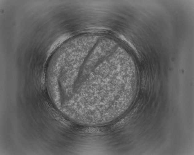 X0000087361362200705181141