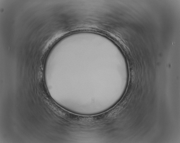 X0000087361363200705181141