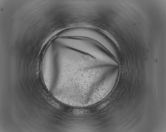 X0000087361364200705181141