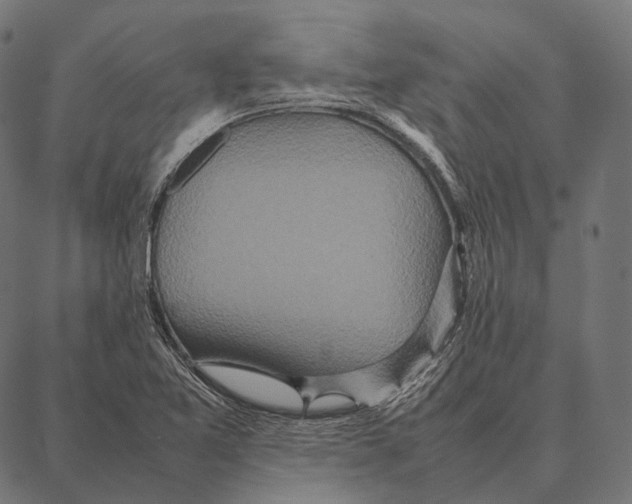 X0000087361365200705181141