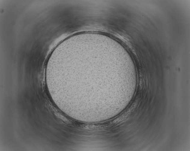 X0000087361366200705181141