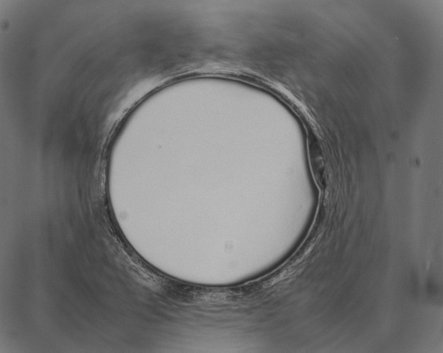 X0000087361367200705181141