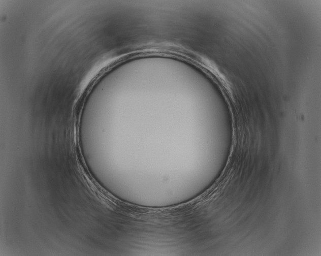 X0000087361368200705181141