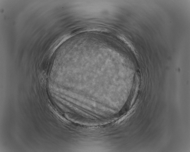 X0000087361369200705181141