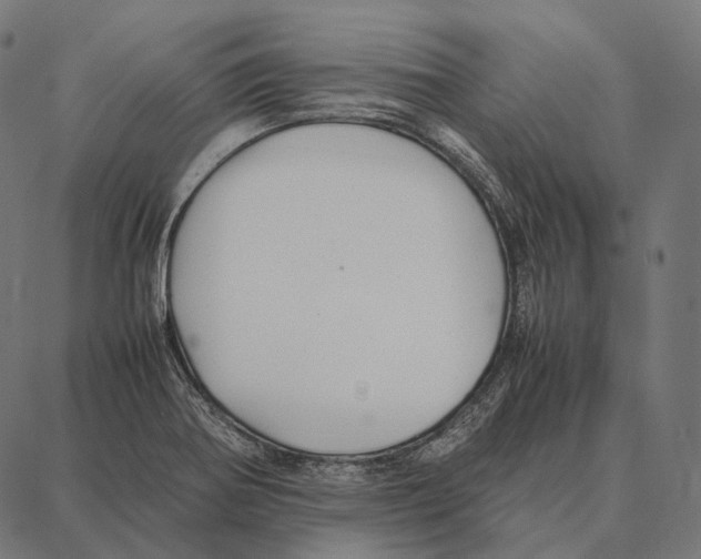 X0000087361370200705181141