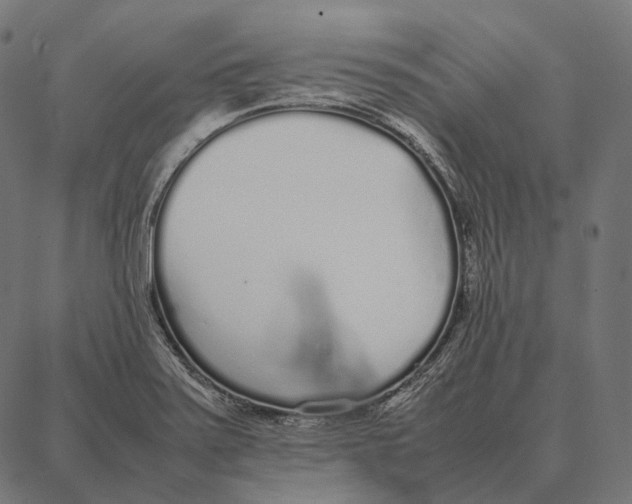 X0000087361371200705181141