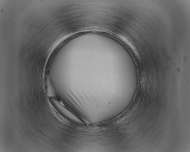 X0000087361372200705181141