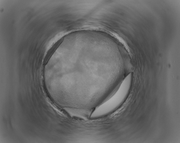 X0000087361373200705181141