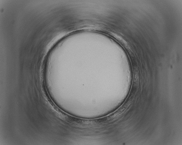 X0000087361375200705181141