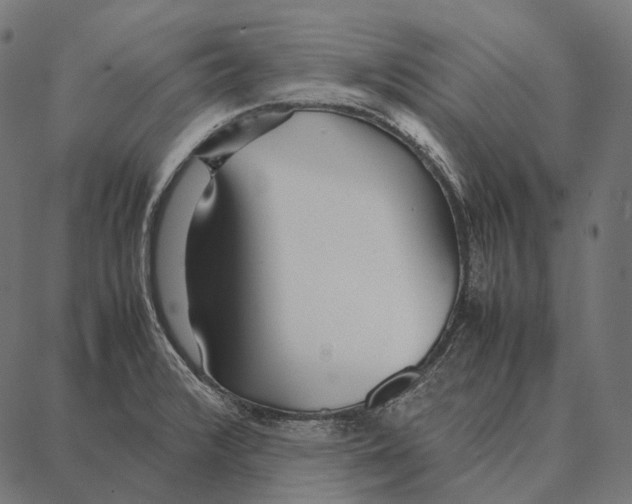 X0000087361376200705181141