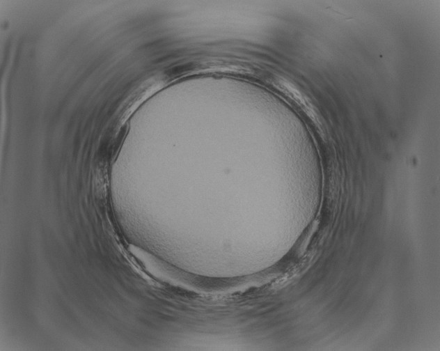 X0000087361377200705181141