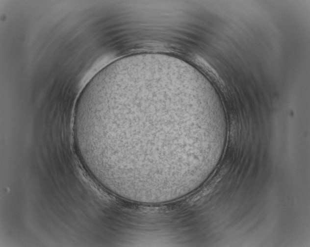 X0000087361378200705181141