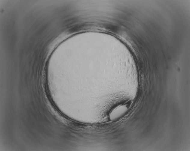 X0000087361379200705181141