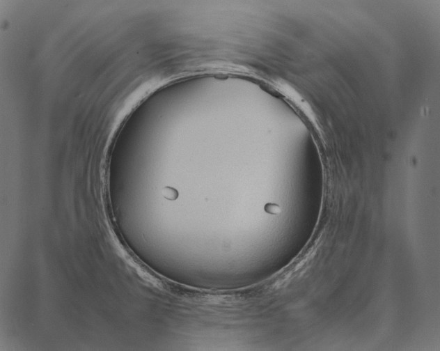 X0000087361381200705181141