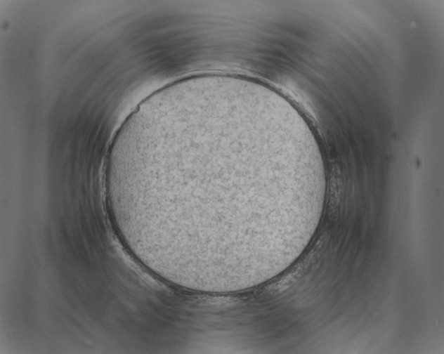 X0000087361382200705181141