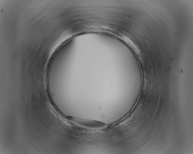 X0000087361384200705181140