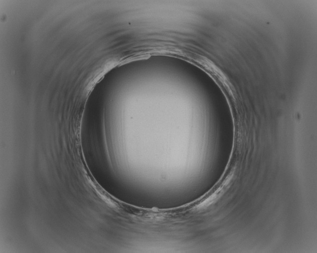 X0000087361385200705181140