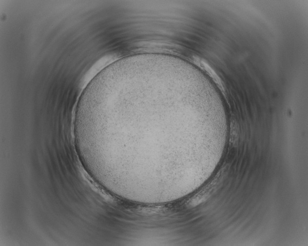 X0000087361386200705181140