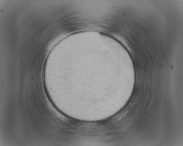 X0000087361387200705181140