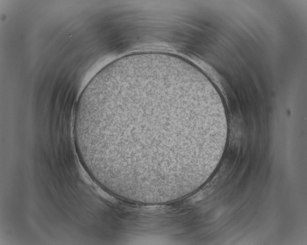 X0000087361390200705181140