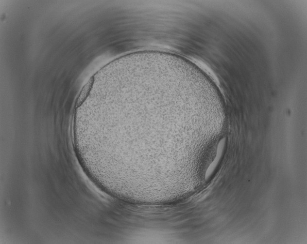 X0000087361391200705181140