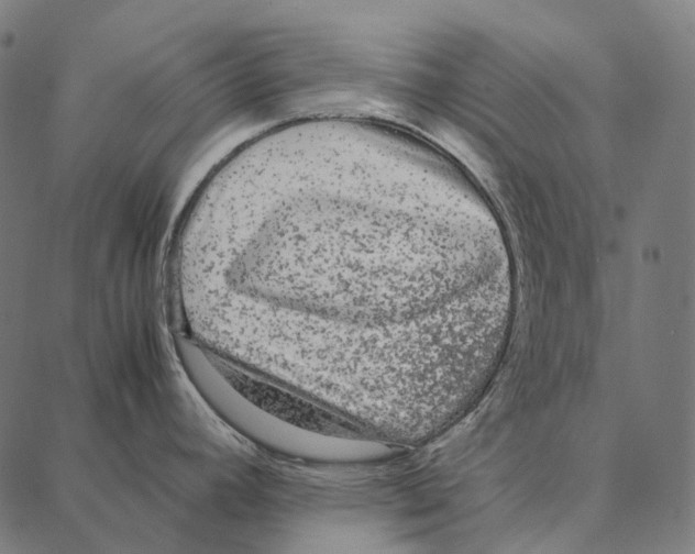 X0000087361392200705181140