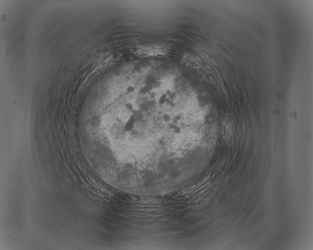 X0000087361393200705181140