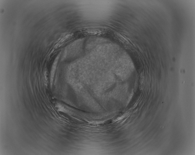 X0000087361394200705181140