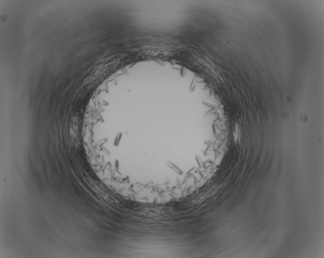 X0000087361396200705181140