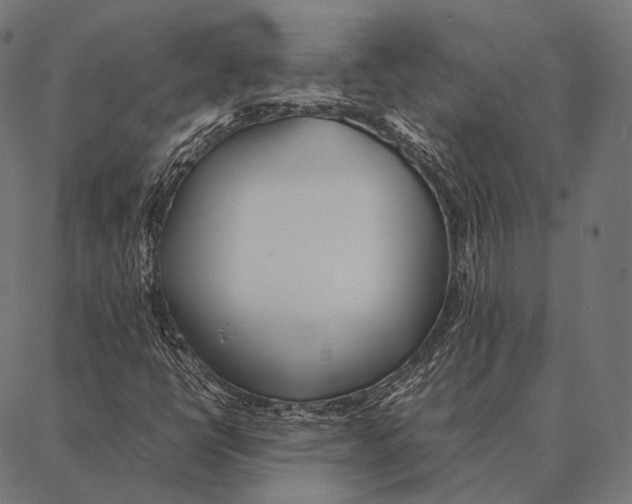 X0000087361398200705181140