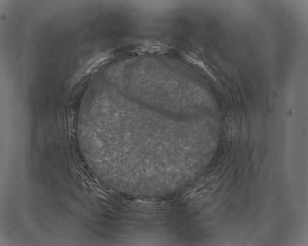 X0000087361399200705181140