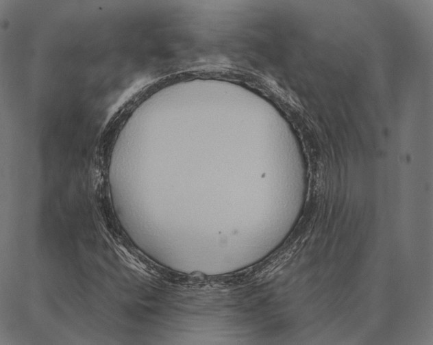 X0000087361400200705181140