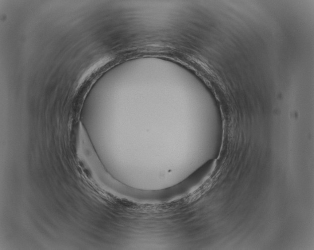 X0000087361402200705181140