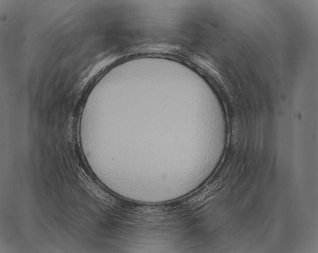 X0000087361404200705181140