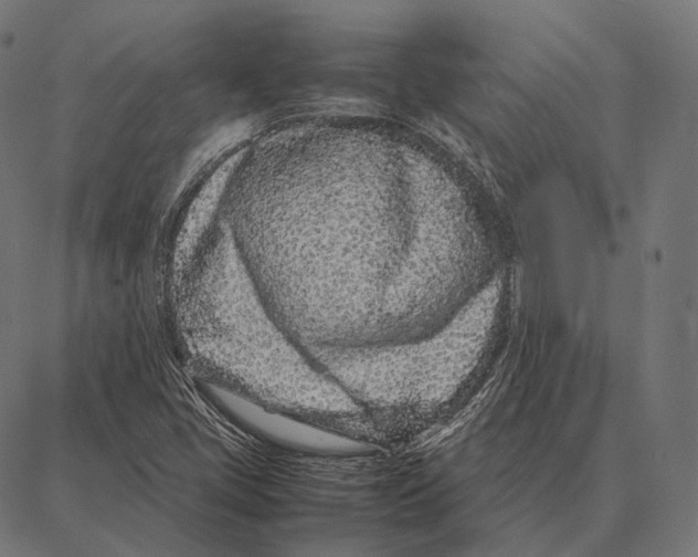 X0000087361405200705181140