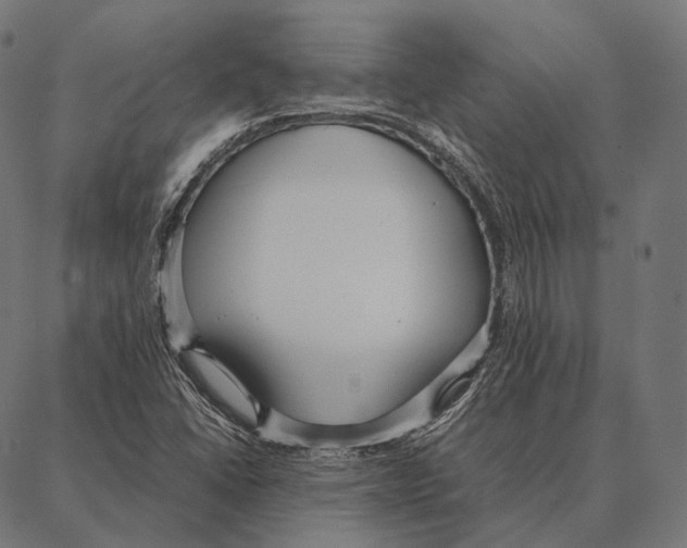 X0000087361406200705181140