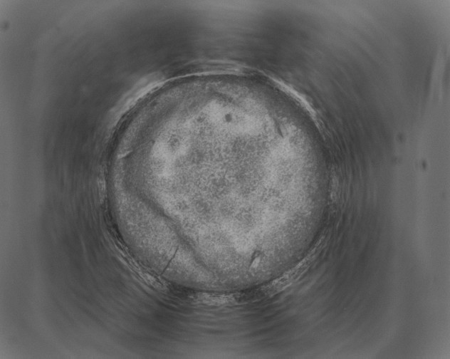 X0000087361407200705181140