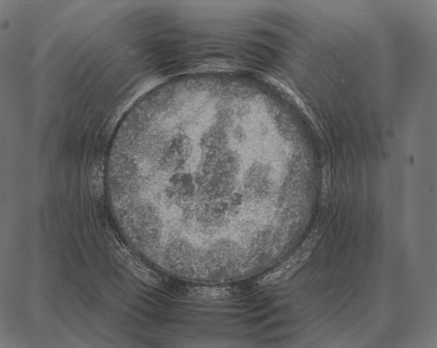 X0000087361409200705181140