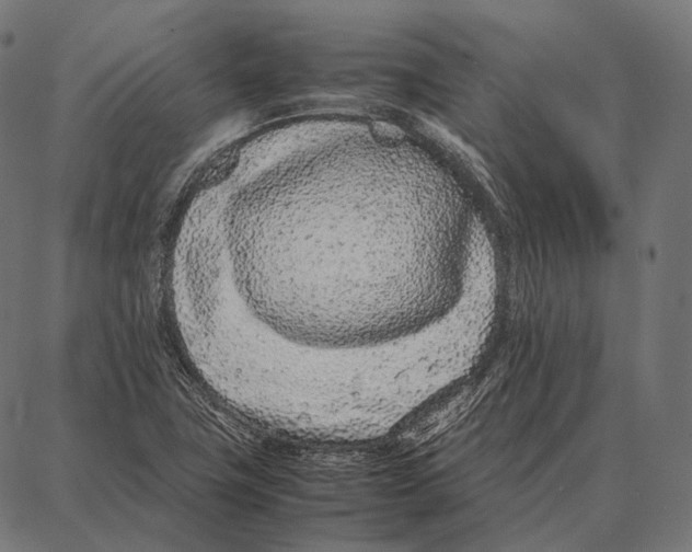 X0000087361411200705181140