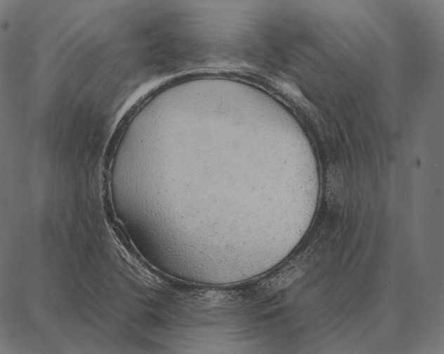 X0000087361412200705181140