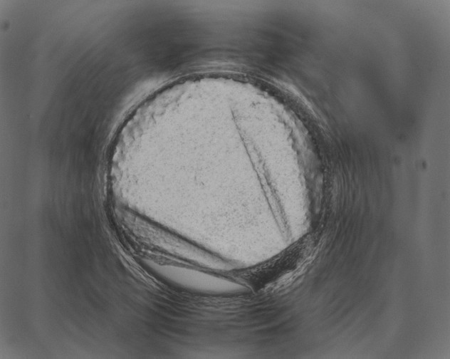 X0000087361413200705181140