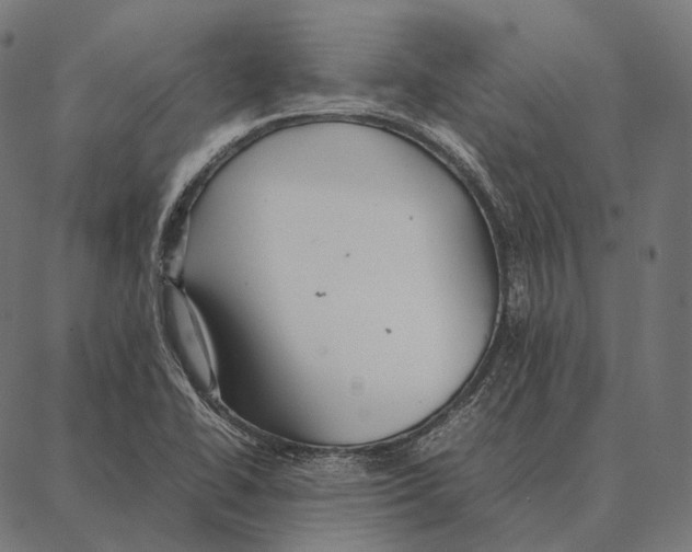 X0000087361414200705181140