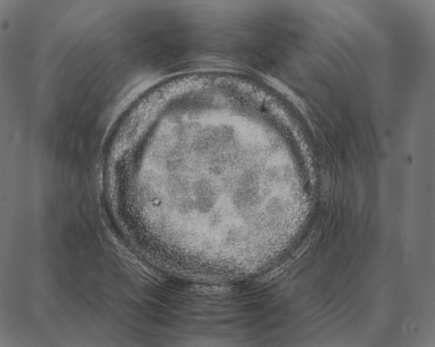 X0000087361415200705181140