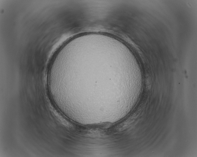 X0000087361416200705181140