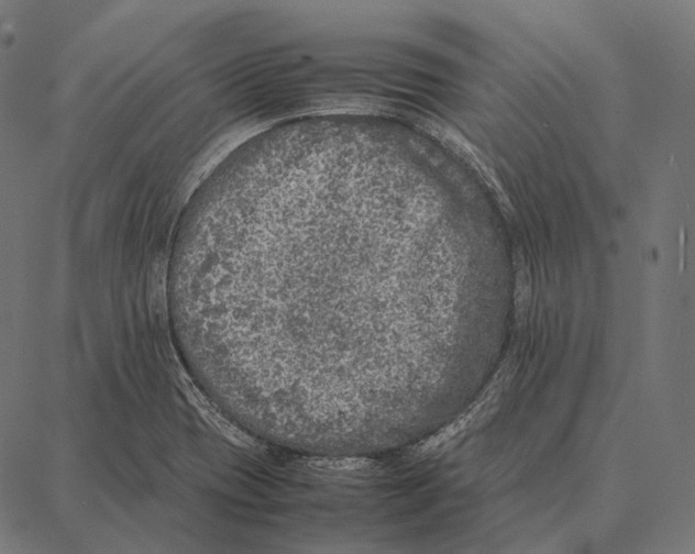 X0000087361417200705181140