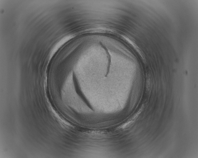 X0000087361418200705181140