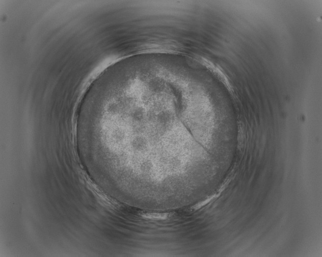 X0000087361419200705181140