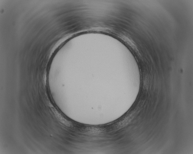 X0000087361420200705181140